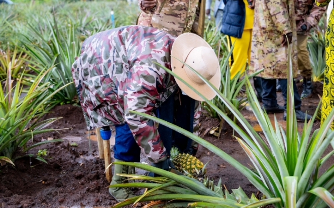 President Museveni launches 4-Acre model campaign to boost commercial agriculture